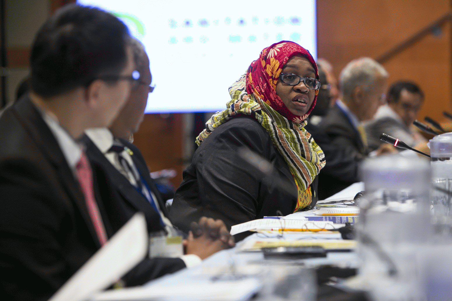 High Level Meeting 2014