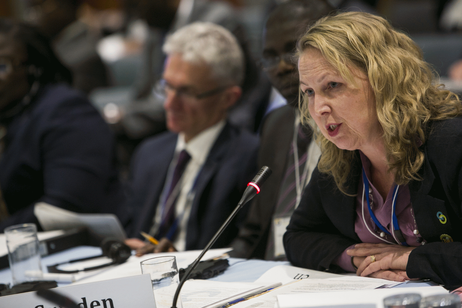 High Level Meeting 2014