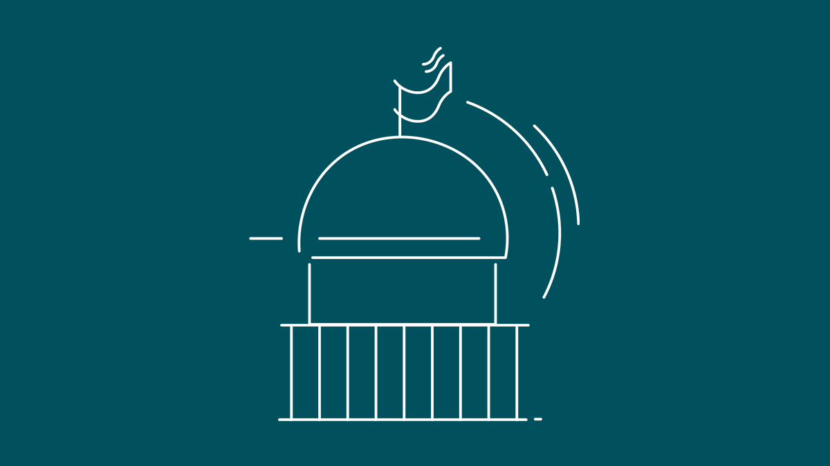 MAM - Government Icon
