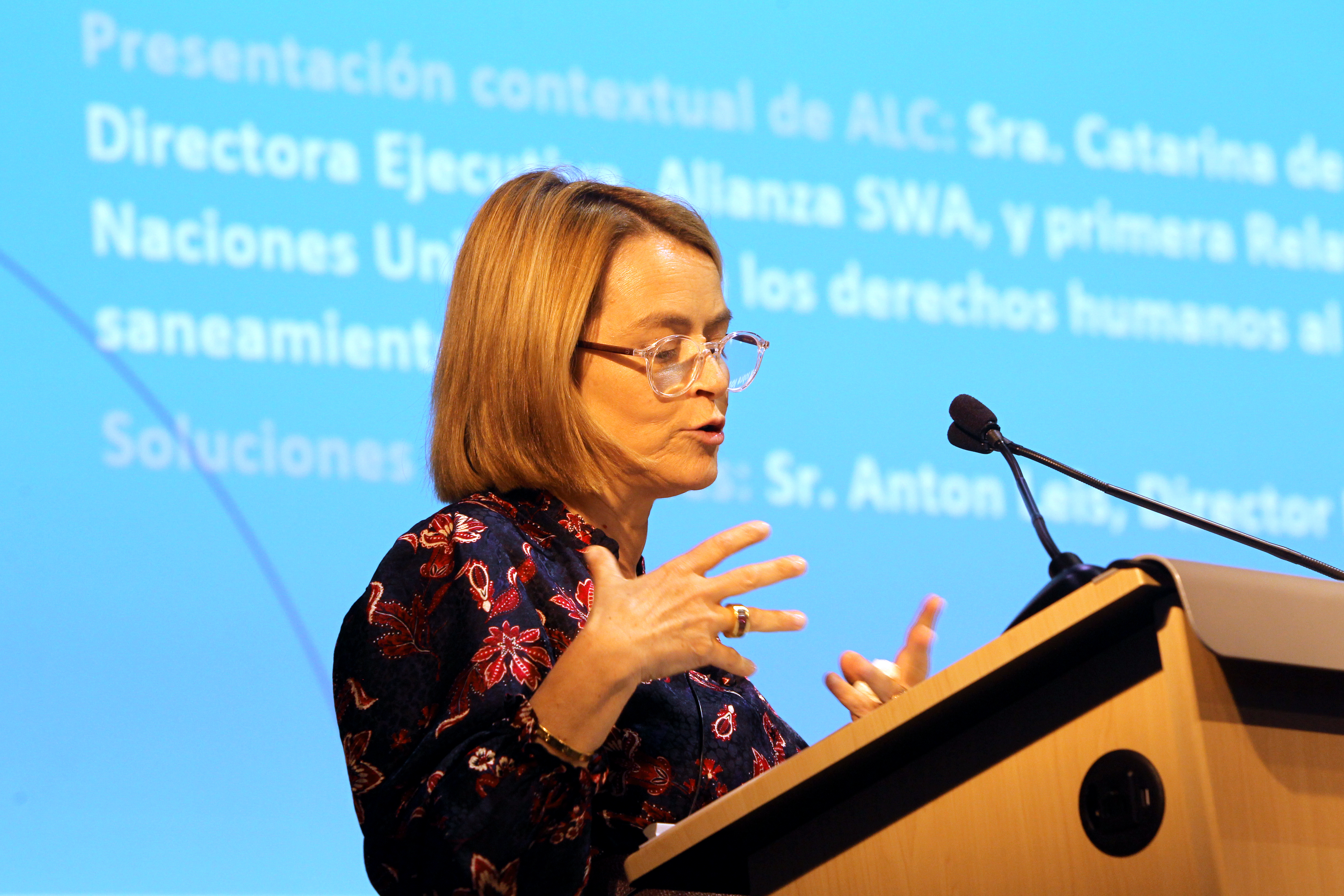 Catarina de Albuquerque, SWA CEO 