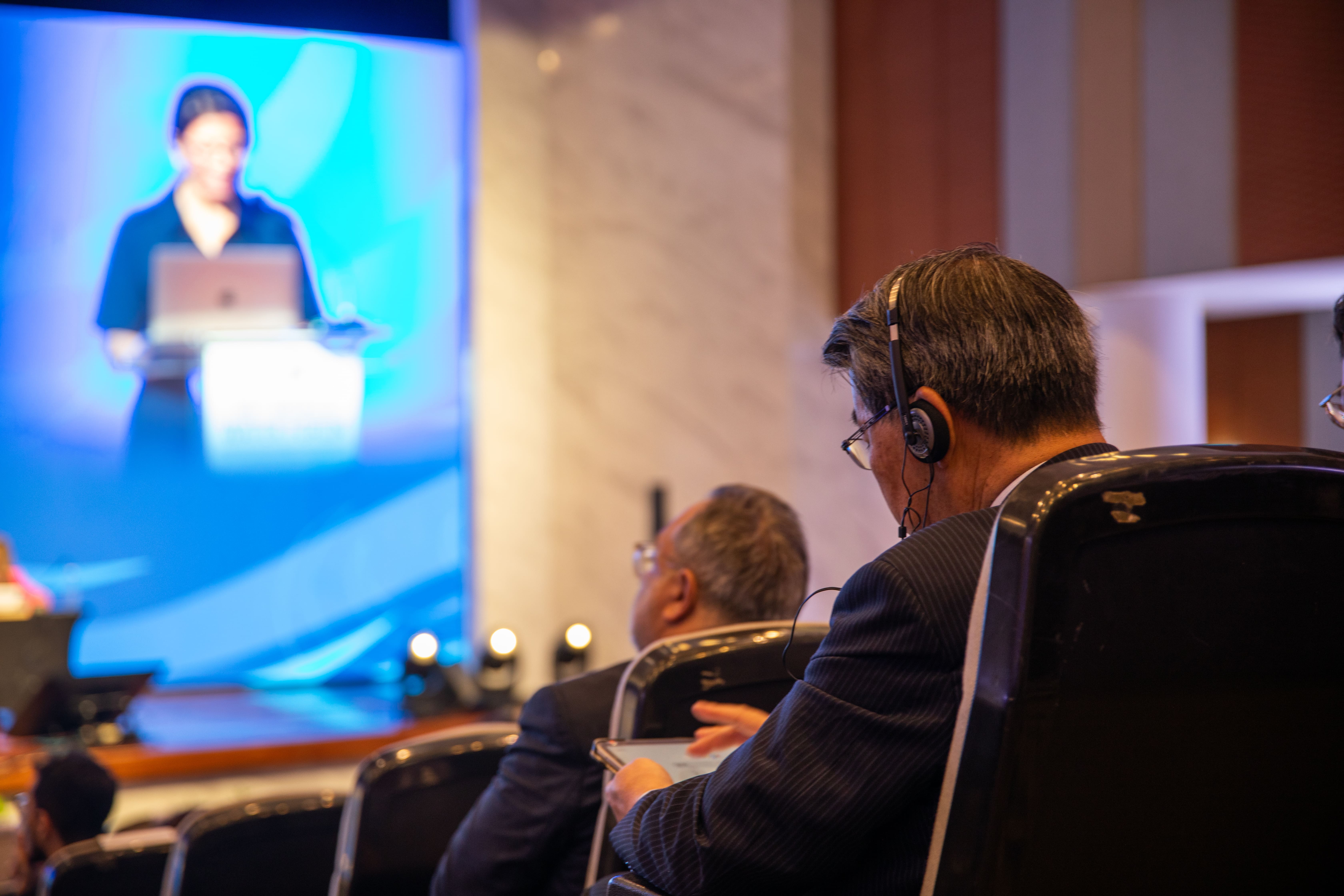 People listening to the speakers at the Bandung Summit