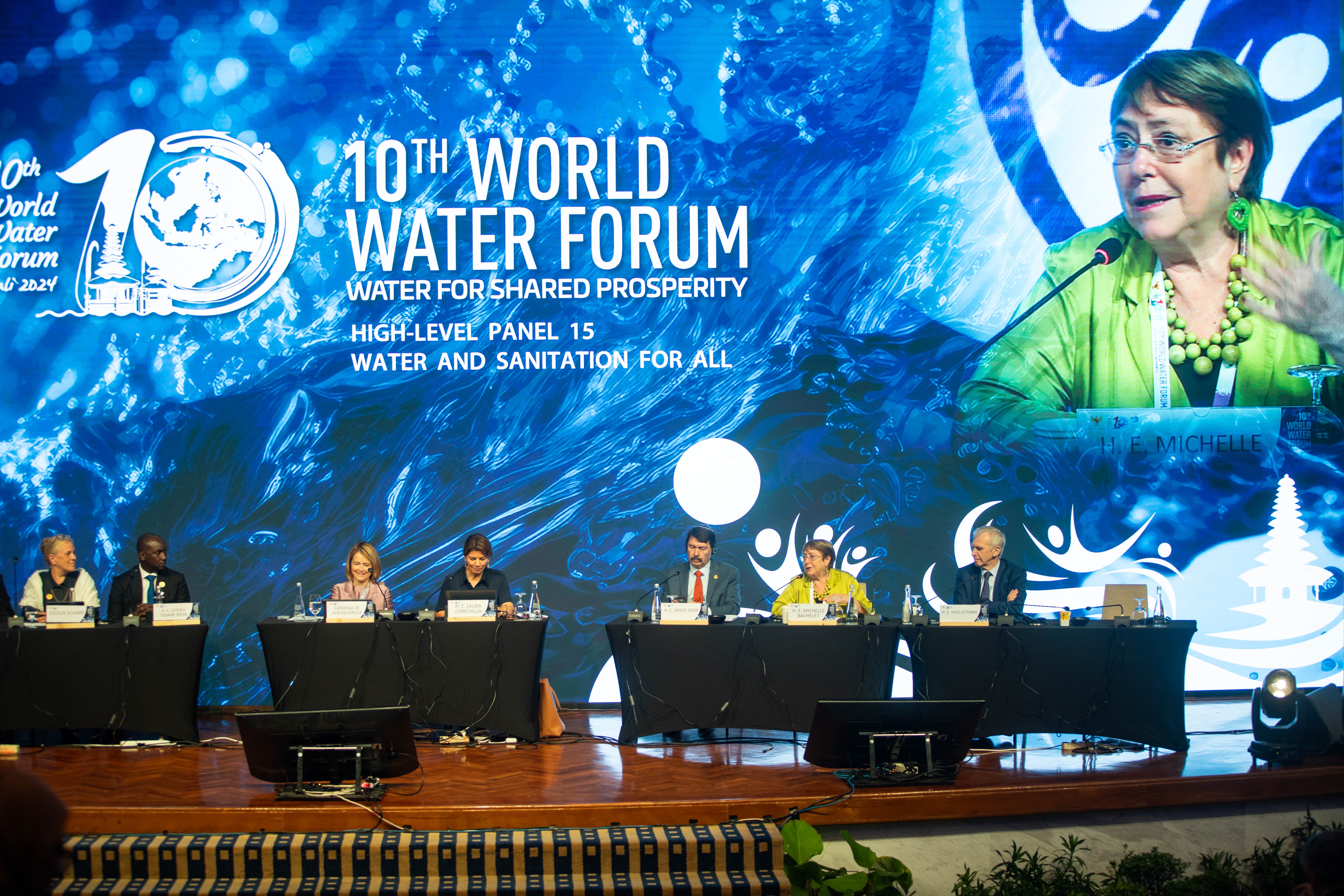 Michelle Bachelat speaks at the Bandung Summit