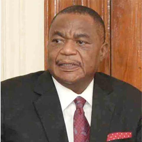Hon. Constantino Guveya Dominic Nyikadzino Chiwenga